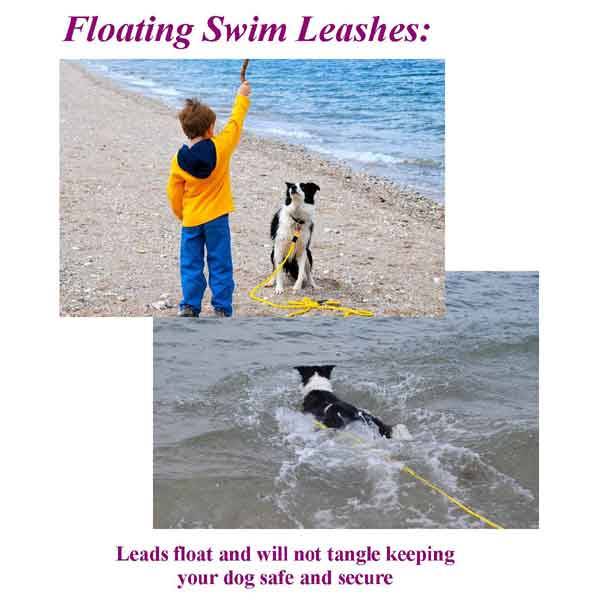 Floating Dog Leashes for Beaches