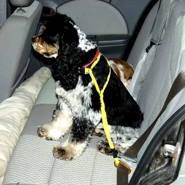 Auto-Restraint Dog Harness Walker