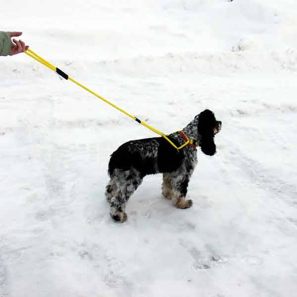Dog Harness Walker
