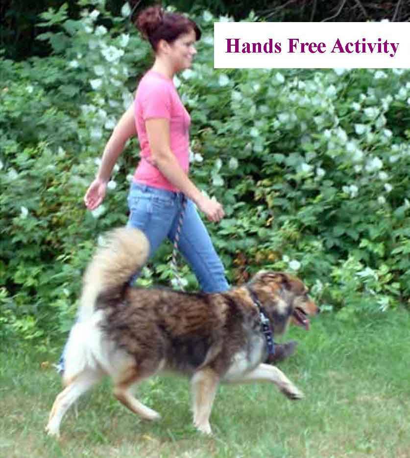 Multi-Purpose Dog Leashes