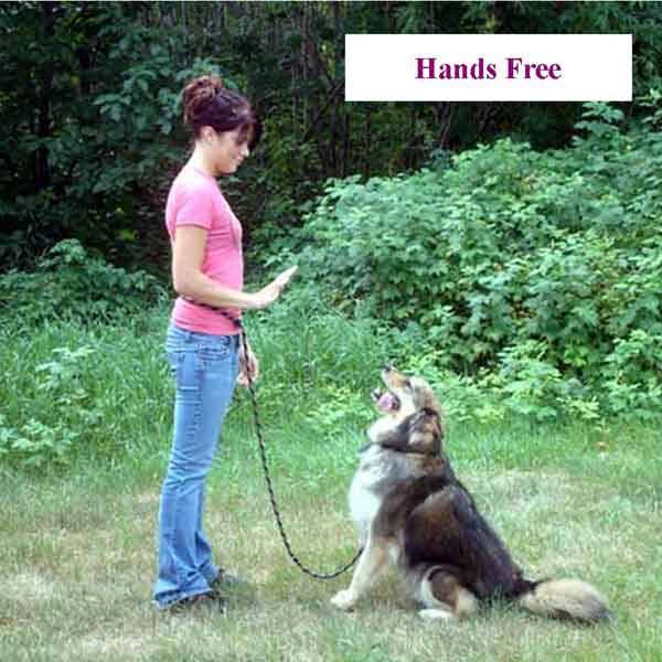 Multi-Purpose Hands Free Dog Leashes
