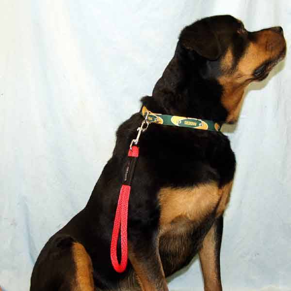 Short Control & Extra Long Snap Leashes