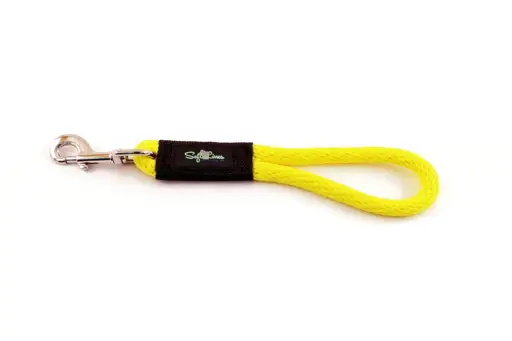 Snap Leashes