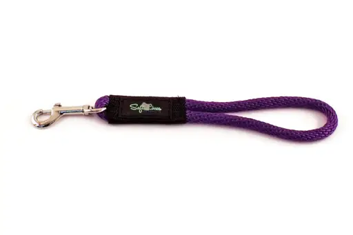 Snap Leashes