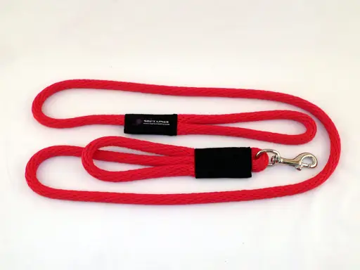 Sidewalk Safety Leash - Double Handled Dog Leashes