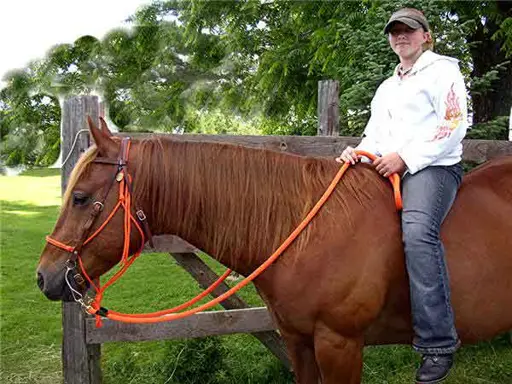 Horse Roping Reins Round with Nickel Plated Hardware