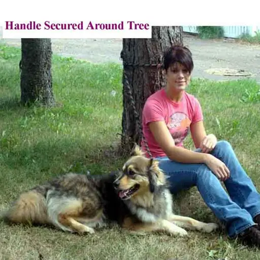 Ultra-Lead Hands-Free Dog Leashes for Jogging and Training