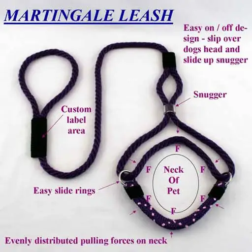 Martingale Leashes