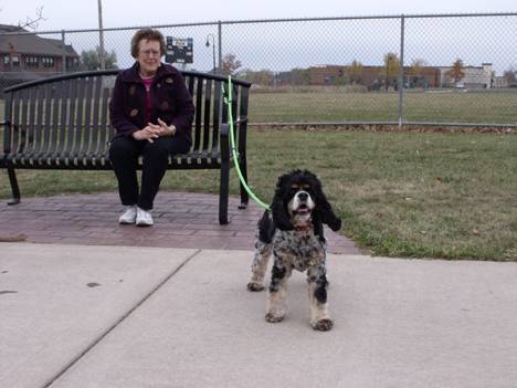 3/8" Round Hands Free Dog Leashes (Polypropylene)