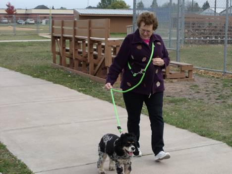 5/8" Round Hands Free Dog Leashes (Polypropylene)