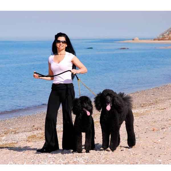 Splitter Leashes for Two Dogs