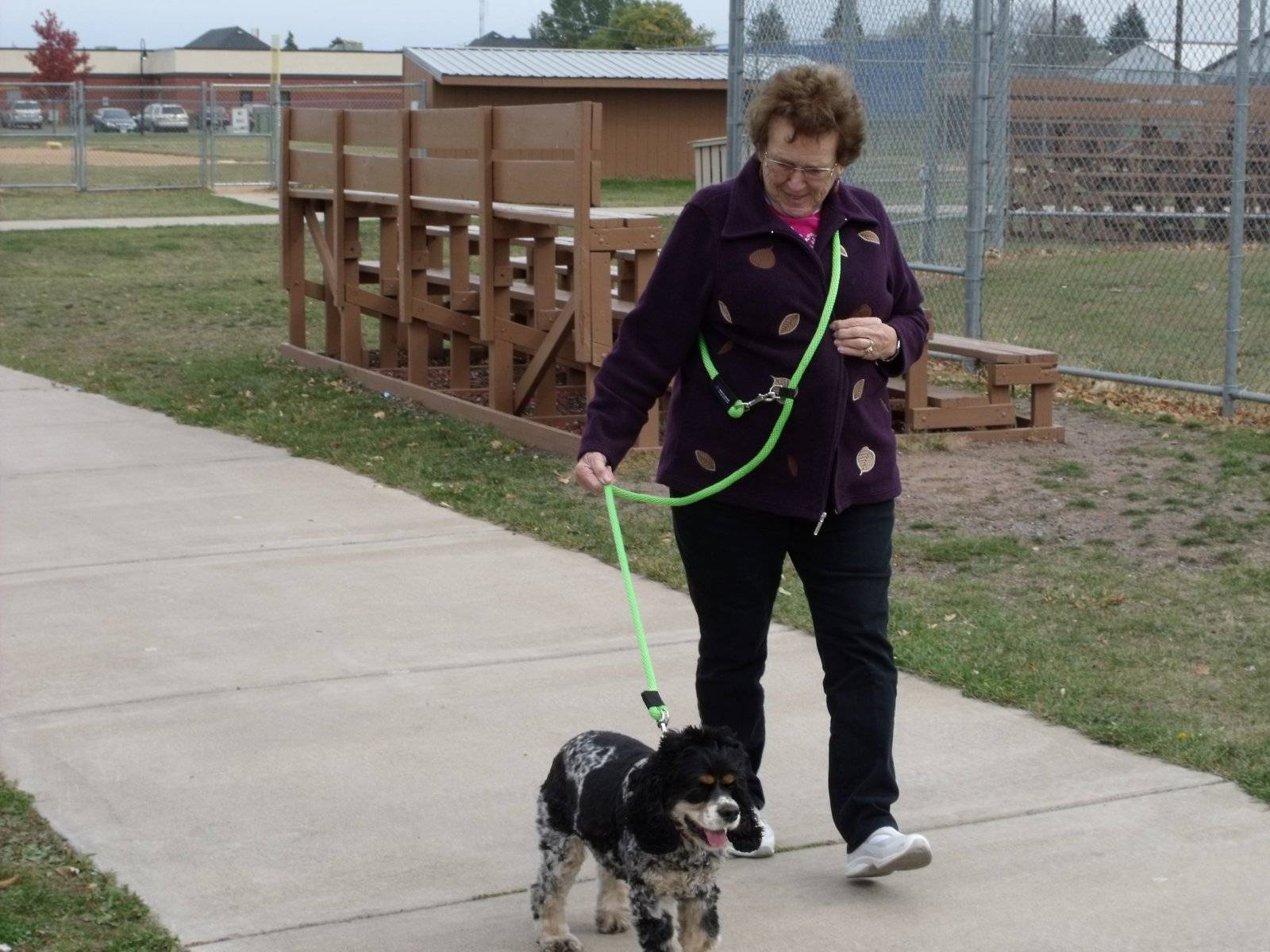 Arthritic and Handicap Friendly Dog Leashes